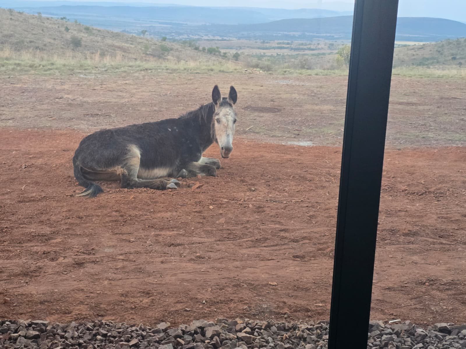 Penelope, head of grounds and mowing
