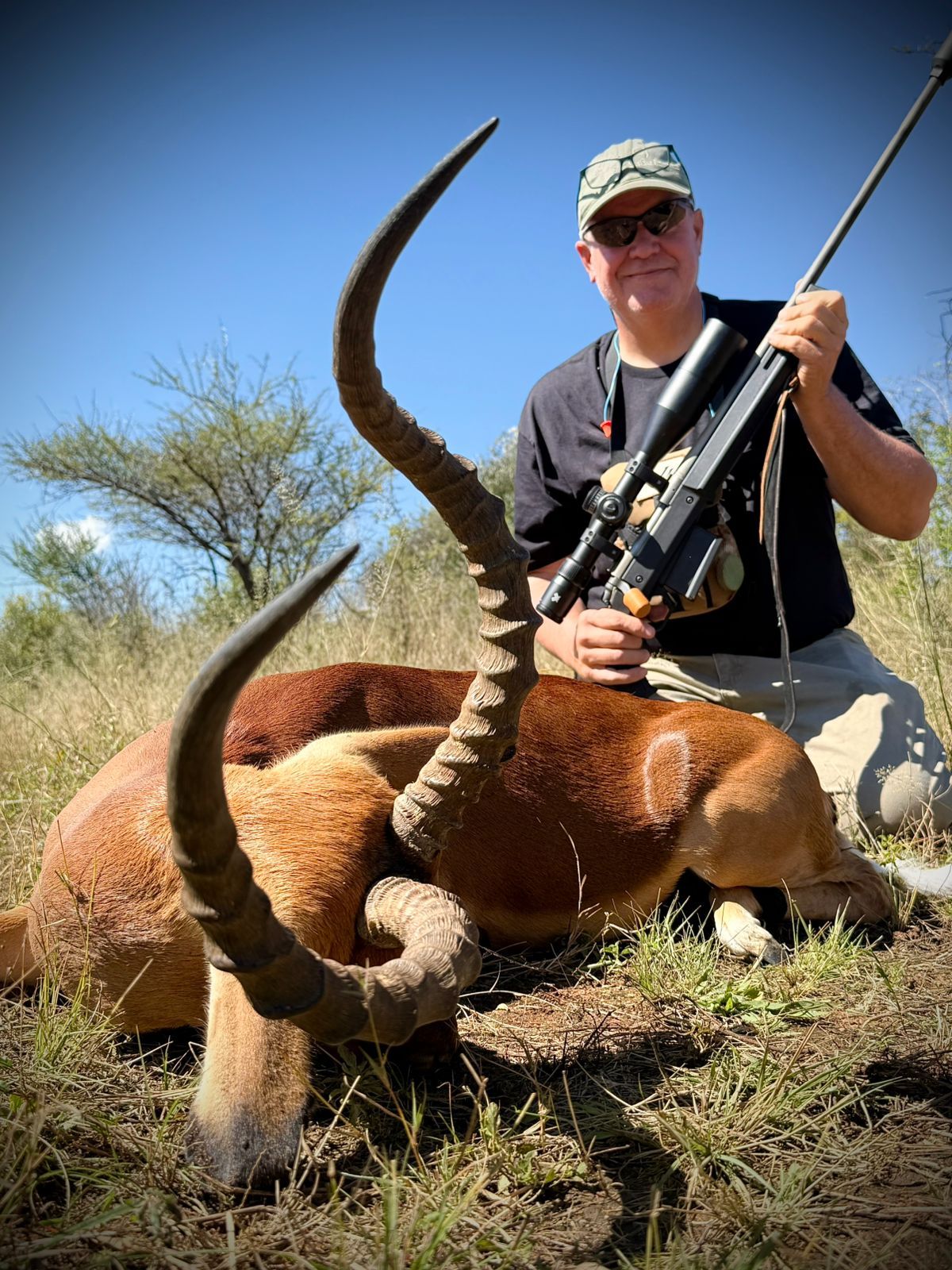Impala ram taken April 2026